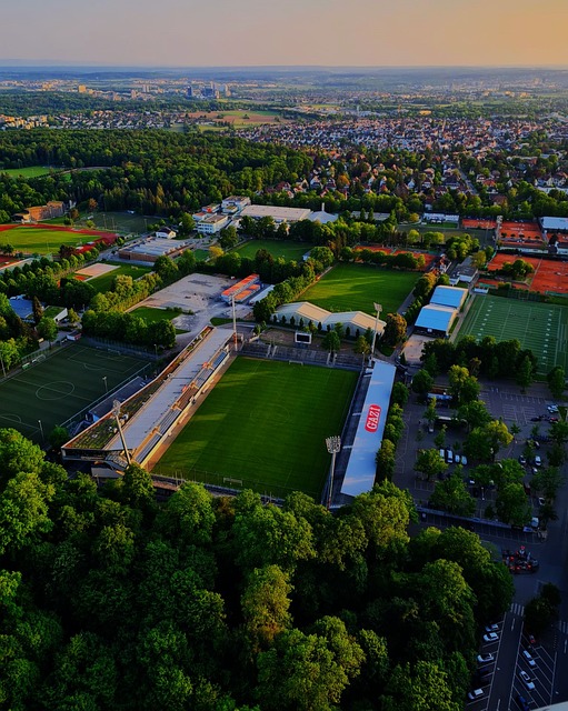 也需关注球 也需关注球