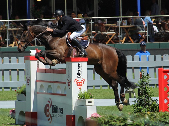 个更加开放 个更加开放